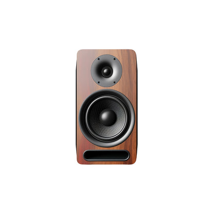 Home Stereo Desktop Speakers