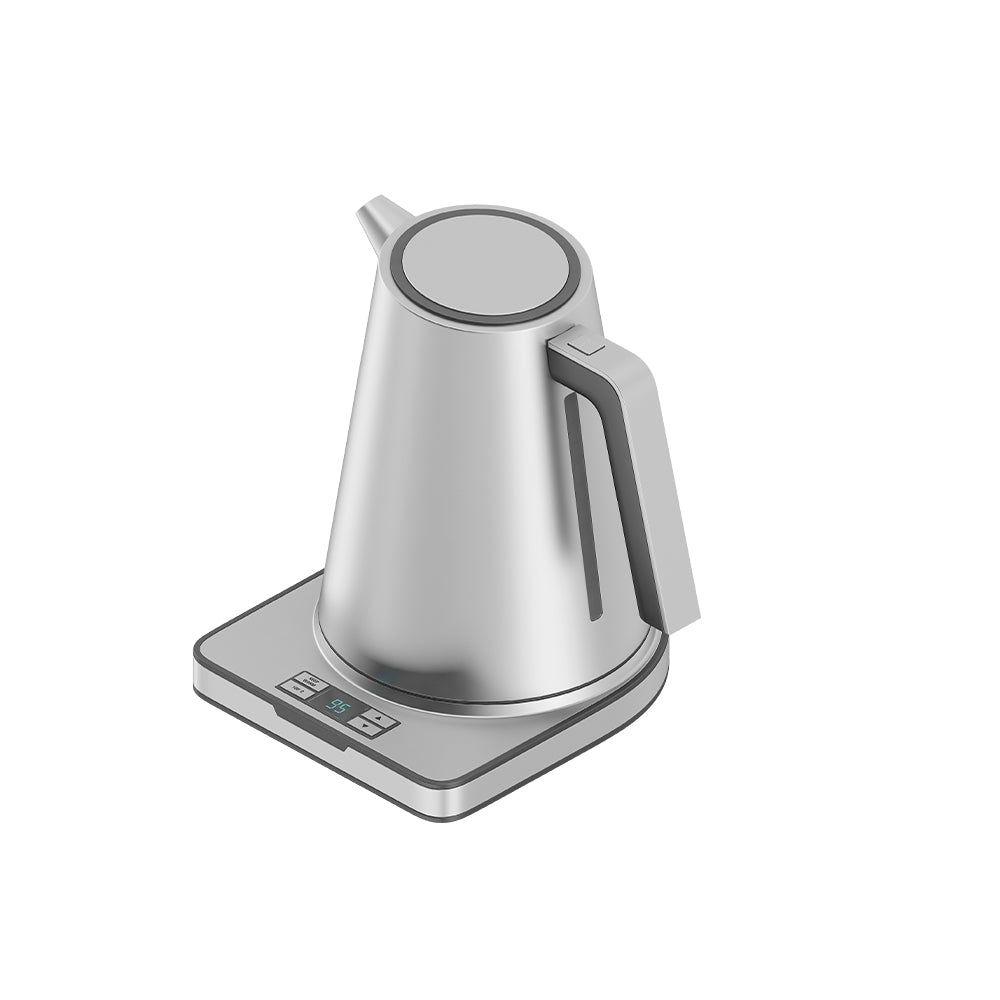 Kettles With Temperature Control